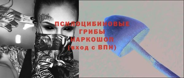 прущий лед Алзамай