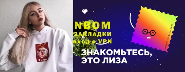 прущий лед Алзамай