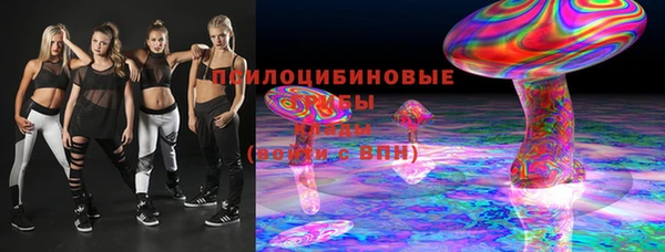 прущий лед Алзамай
